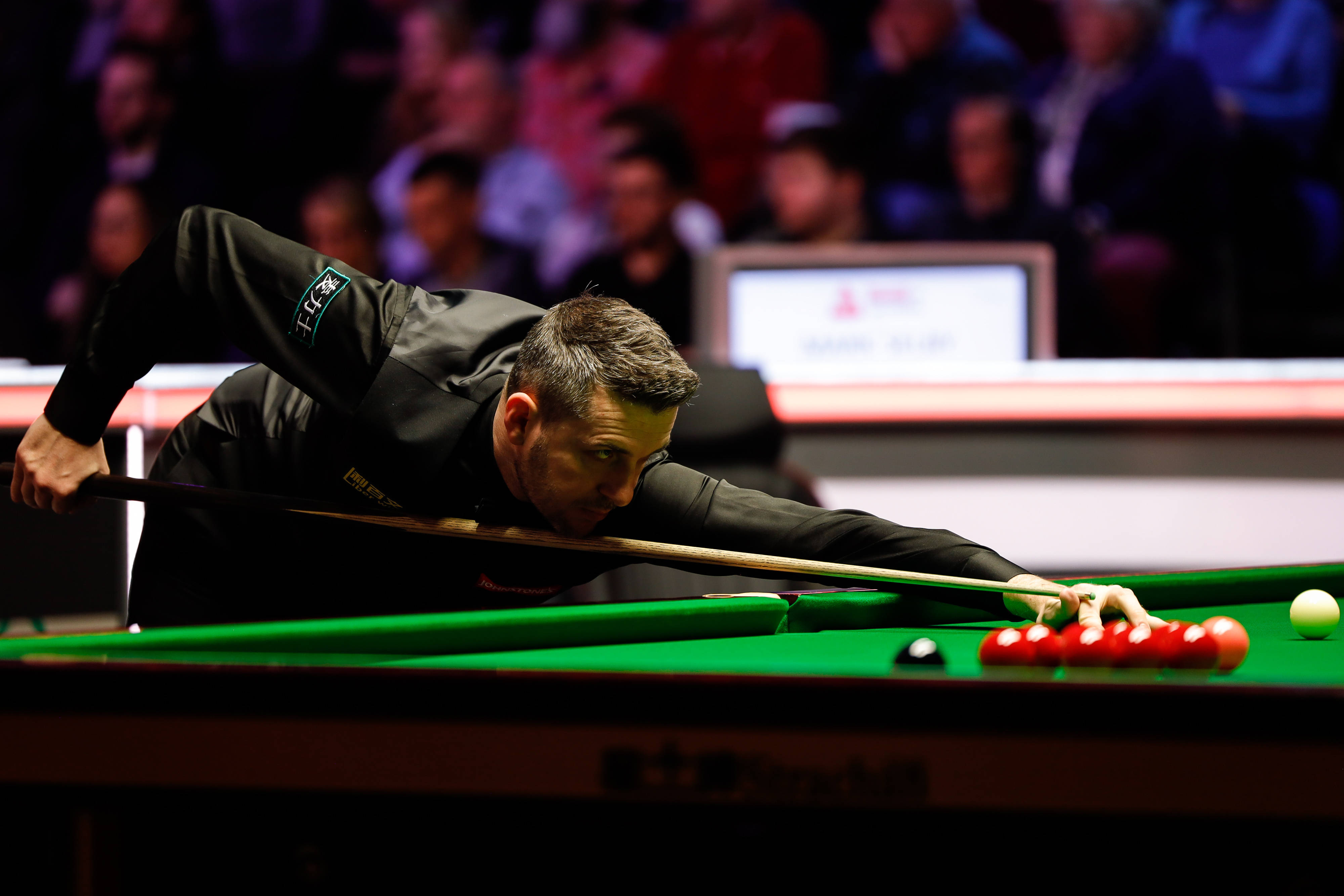 媒体和观众 媒体和观众