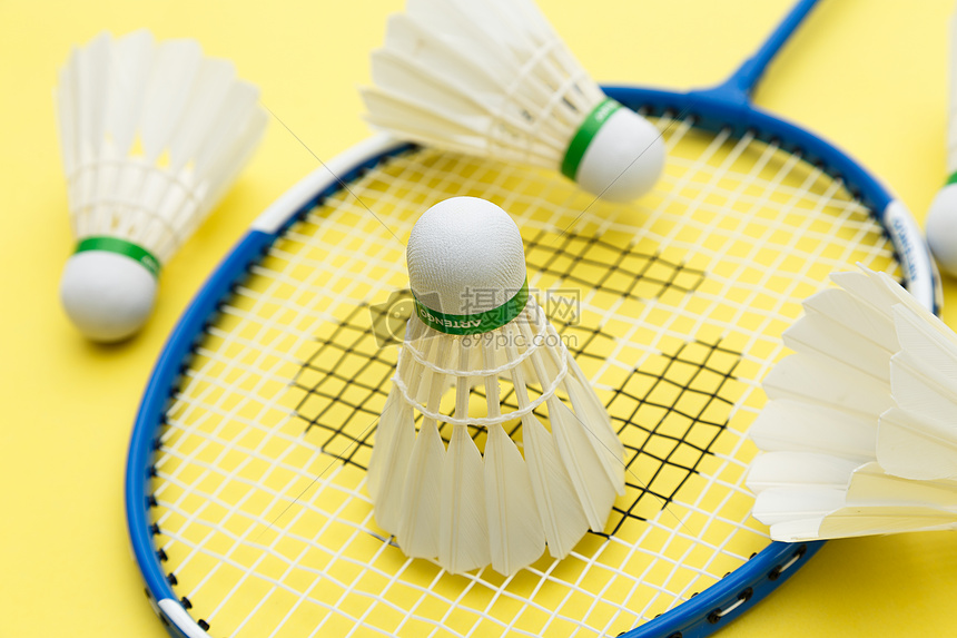 沟通和协调 沟通和协调