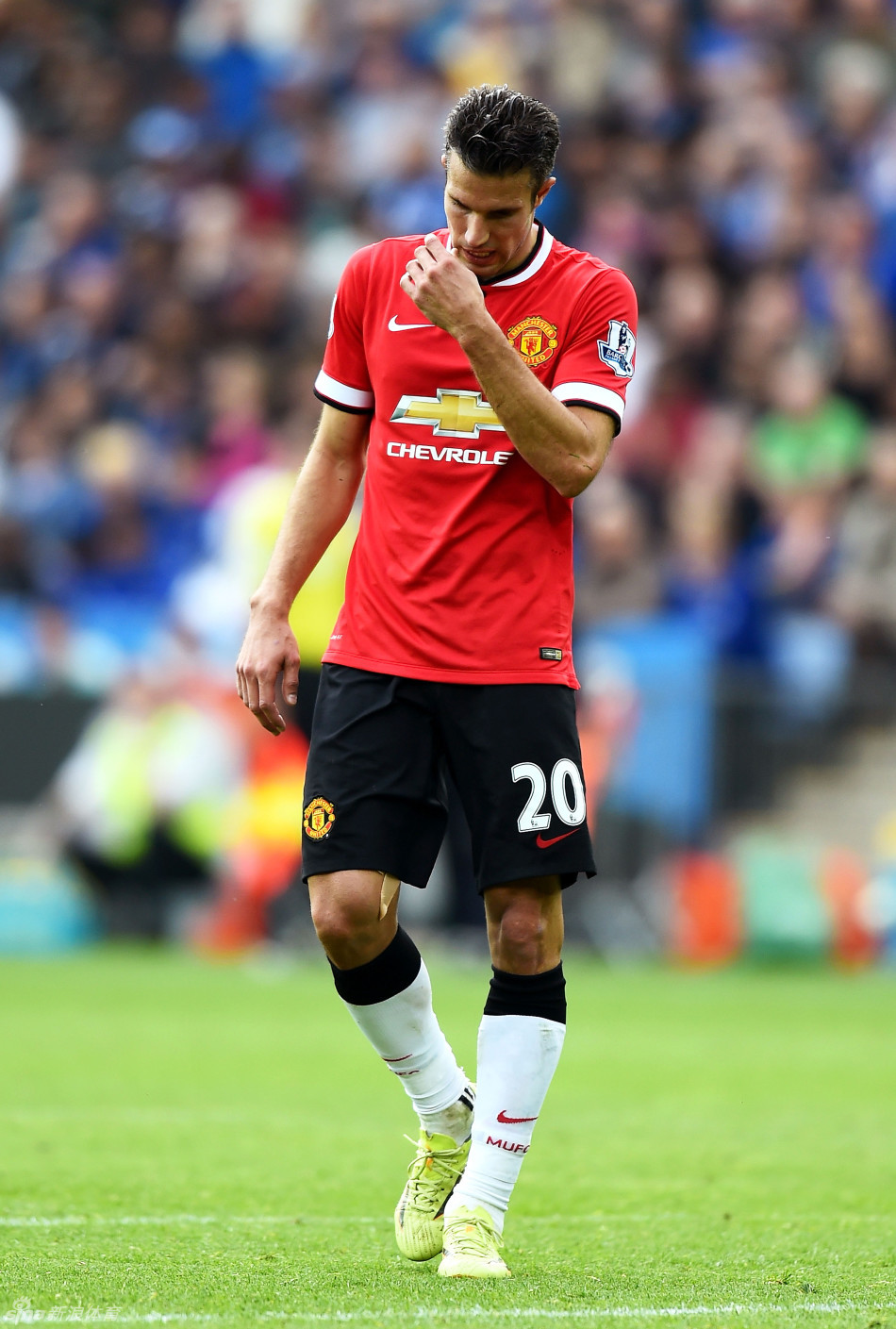 赢回点数 赢回点数